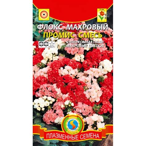 Семена Флокс махровый Промис Смесь, 9 шт, Плазменные семена купить в ...