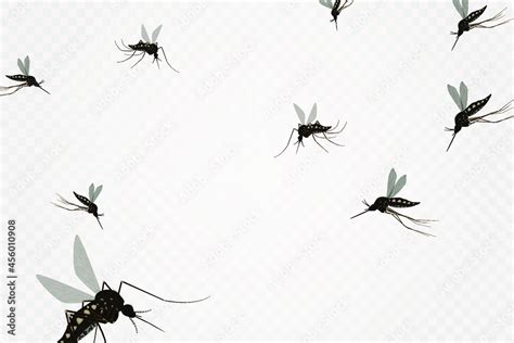 Isolated mosquito white background. Realistic dengue mosquito in vector ...