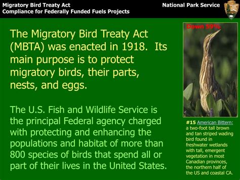PPT - Migratory Bird Treaty Act PowerPoint Presentation, free download