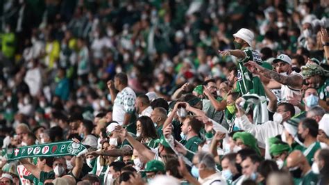 Pior notícia da semana para a torcida do Palmeiras Portal do Palmeirense