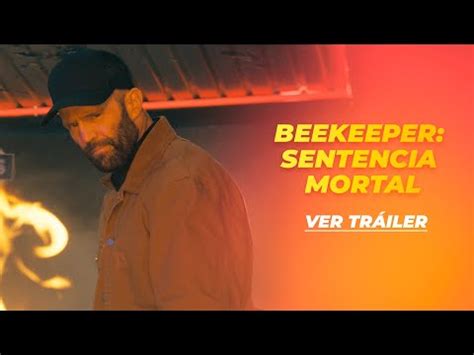 Beekeeper Sentencia De Muerte Sinopsis Fecha De Estreno Tr Iler Y