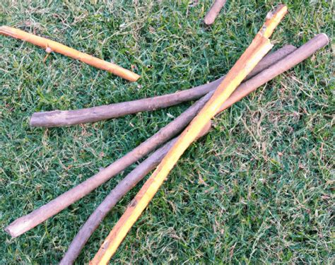 How To Pick Up Sticks In Yard Fast | Obsessed Lawn