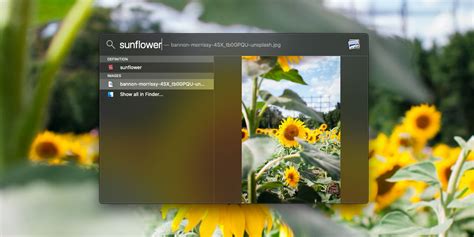how to search keyword on mac