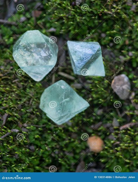 Cristais Naturais Do Octahedron Da Fluorite Verde No Musgo Verde Na