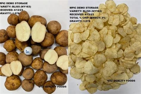 Our Research On Michigan Potatoes Mi Potatoes Growers