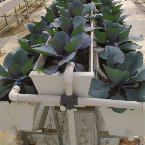 vertical hydroponic tower vertical garden hydroponic system irrigation