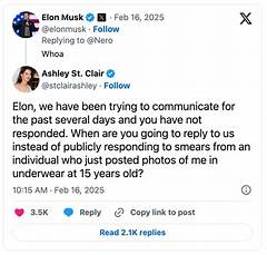 Ashley St Clair Elon Musk