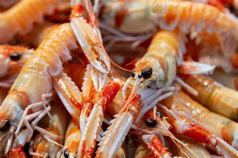 Prawns Whole Scampi Scottish Langoustines Raw 1kg