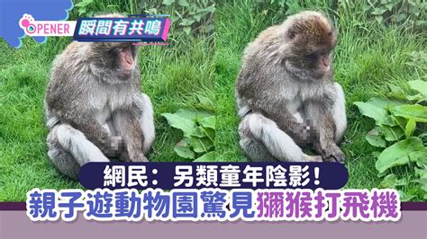 親子遊動物園驚見獼猴「不斷玩弄生殖器」網民恥笑：另類童年陰影