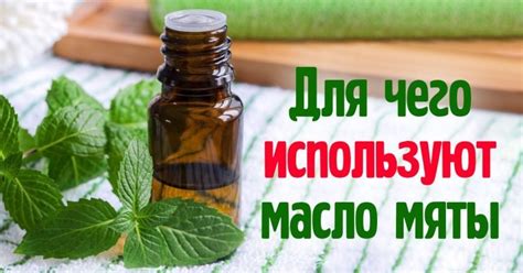 Масло перечной мяты: свойства и применение - Со Вкусом