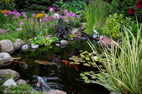 Pond Products by Season | Koi Ponds and Water Features