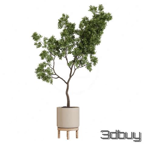 3d модель Декоративное дерево в горшке 131587 in 2024