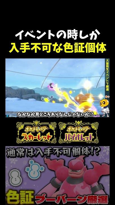 【ポケモンsv】イベント限定のレア個体 大量発生イベントで｢ブビィ｣の色証厳選をしたら普段は入手不可能な雪の天候証が付きましたw【切り抜き