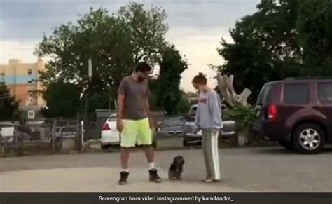 Viral Video: Dog's Reaction To "Run In Opposite Directions" Challenge Has Twitter In Splits