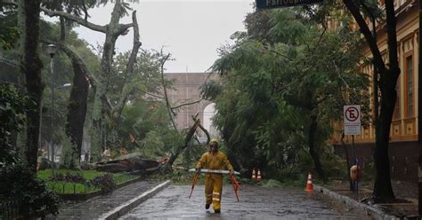 Temporal Derruba árvores Interrompe Ruas E Provoca Falta De Energia Em