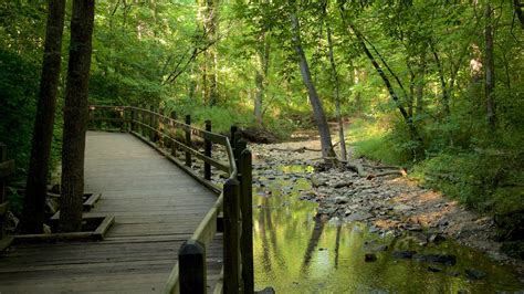 Rock Bridge Memorial State Park Mo Usa Ferienwohnungen Ferienh User