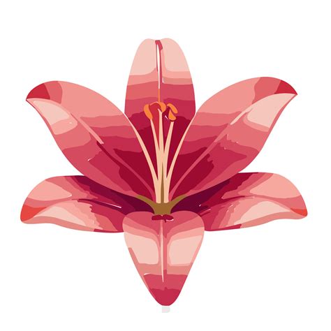 Lily flower transparent background,Ai Generative 27434234 PNG