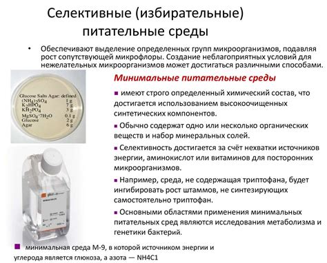 Среды для культивирования бактерий - презентация онлайн