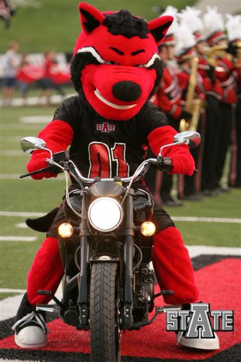 132+ Teams In 132+ Days: Arkansas State : r/CFB