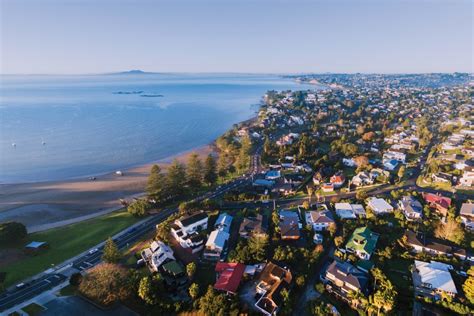 Real Estate Institute of New Zealand | REINZ