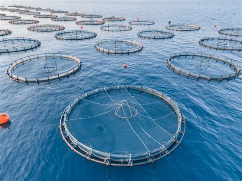 Aquaculture