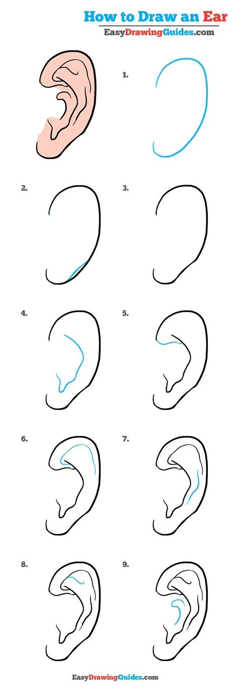 How To Draw An Ear Really Easy Drawing Tutorial Drawing Tutorial