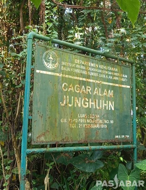 Makam Junghuhn Sang Botanikus Di Jayagiri Lembang Pasjabar