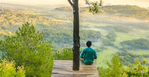 Photo Of A Man Sitting Under The Tree · Free Stock Photo