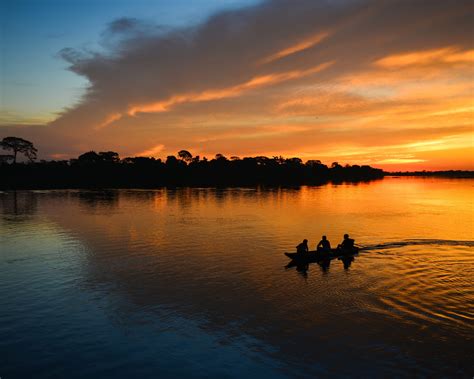 Pantanal or the Amazon: which one should you choose? - PlanetaEXO