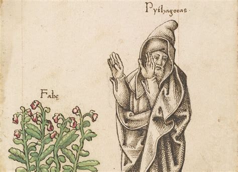 Why Beans Were An Ancient Emblem Of Death Gastro Obscura
