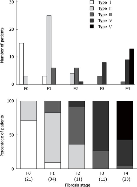 Figure 2 From Visualizing The Hepatic Vascular Architecture Using