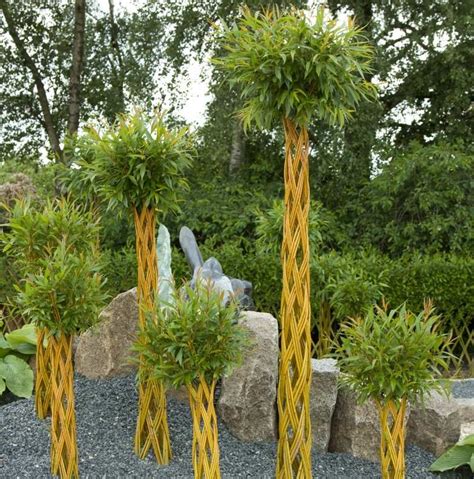 Enhancing Your Garden With Braided Willow British Garden Centres