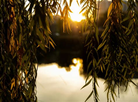 Water,+Hands,+Sway Photos, Download The BEST Free Water,+Hands,+Sway