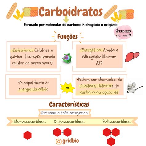 Os Carboidratos Também Denominadas Açúcares São As Biomoléculas