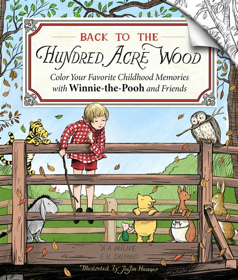 map of hundred acre wood 8