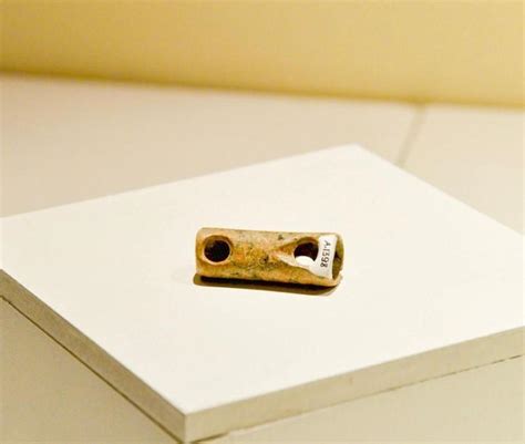 ancient flute  display  museum