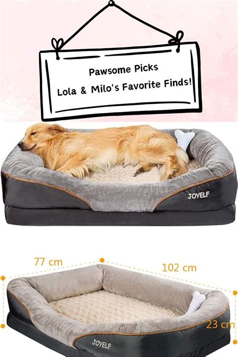 Pin On Pawsome Picks Lola Milo S Favorite Finds