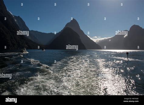 Sky Tower Auckland Stock Photo Alamy