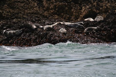 Free Images Sea Coast Water Rock Ocean Shore Wave River