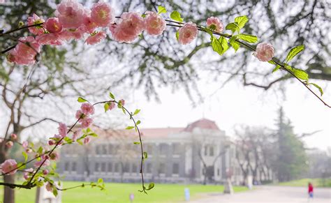 校园风光一览：清华大学引人关注_留学_环球网