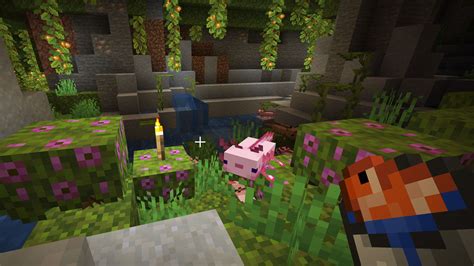 How To Find Tame And Breed Minecraft Axolotls Gamesradar