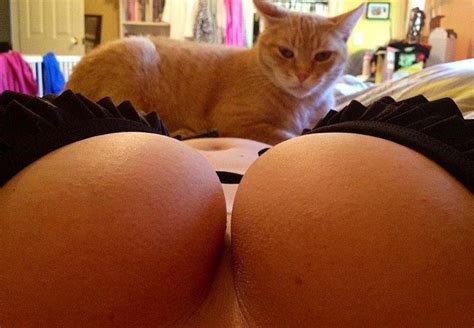Boobs Pussy Porn Pic