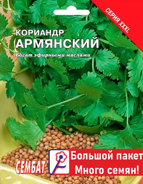 Кориандр Сембат Кориандр XXXL - купить по выгодным ценам в интернет ...