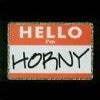 Hello I M Horny T Shirt Teesnthings