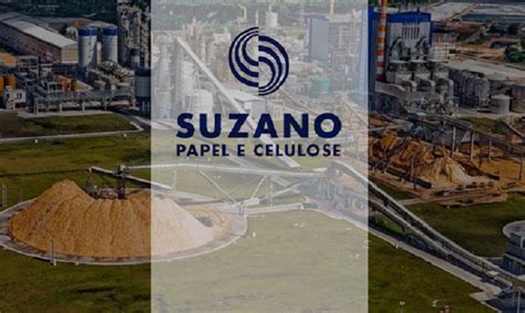 Suzano Papel E Celulose Sao Jose Dos Pinhais - Suzano Papel e Celulose abre inscrições para o Programa de Estágio 2018 ...