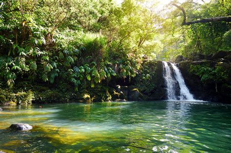 Anonib Hawaii: A Local's Guide To Unforgettable Experiences Image 7