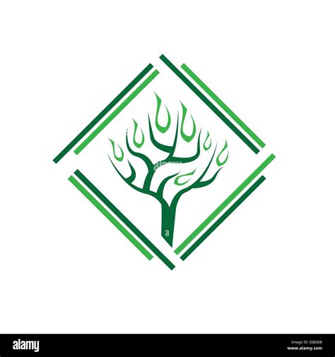 Abstract Tree Symbol Tree Symbol Green Tree Symbol Design Isolated
