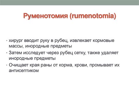 Топографическая анатомия области живота и операции на ней. Часть 1 ...