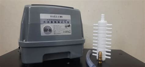 Hailea Hap 80 Air Pump For Biofloc Process at Rs 5950/piece | एक्वेरियम ...