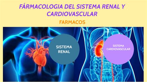 Farmacologia Del Sistema Renal Y Cardiovascular By Andrea Cecibel On Prezi